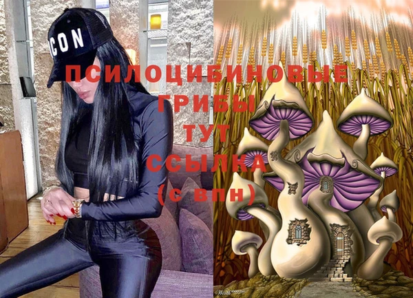 MDMA Вяземский